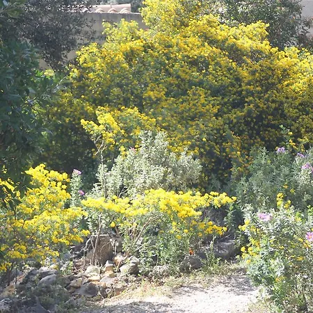A L'est D'uzes