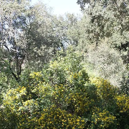 Holiday home A L'est D'uzes