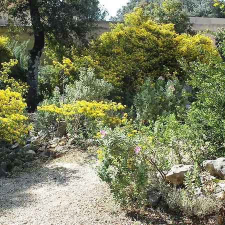 Semesterbostad A L'est D'uzes Saint-Siffret
