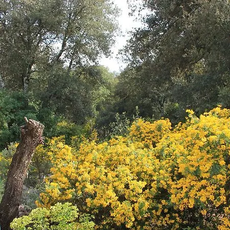 Semesterbostad A L'est D'uzes